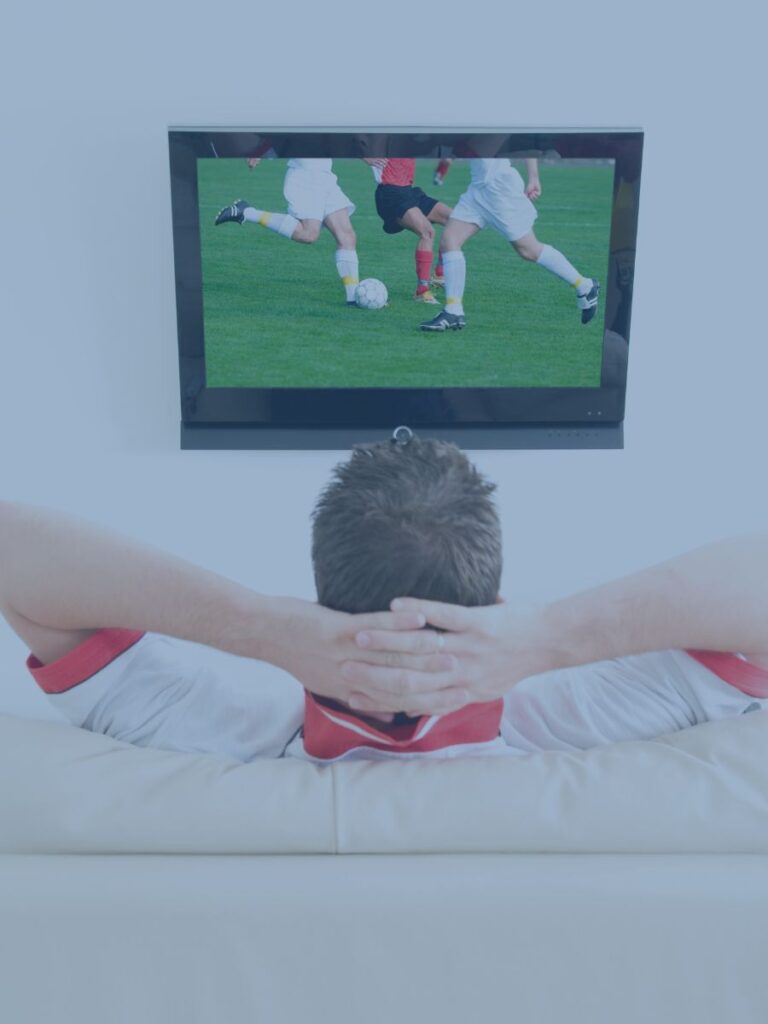 Person from behind watching soccer on TV.